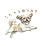 「シーズーのちこちゃん挨拶スタンプ」（個別スタンプ：7）