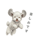 「プードルのこまちゃん挨拶スタンプ」（個別スタンプ：5）