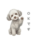 「プードルのこまちゃん挨拶スタンプ」（個別スタンプ：6）