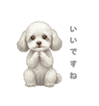 「プードルのこまちゃん挨拶スタンプ」（個別スタンプ：7）
