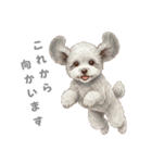 「プードルのこまちゃん挨拶スタンプ」（個別スタンプ：8）