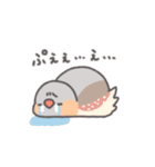 ぶんちょ部長（個別スタンプ：11）