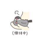 ぶんちょ部長（個別スタンプ：12）