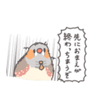 ぶんちょ部長（個別スタンプ：22）