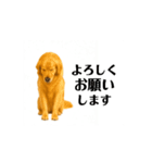 【動く】ゴールデンレトリバー★毎日使う♪（個別スタンプ：4）