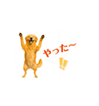 【動く】ゴールデンレトリバー★毎日使う♪（個別スタンプ：6）