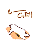 和風猫＜心づかい＞（個別スタンプ：11）