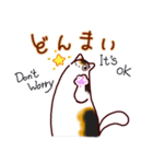 和風猫＜心づかい＞（個別スタンプ：13）