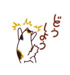 和風猫＜心づかい＞（個別スタンプ：20）