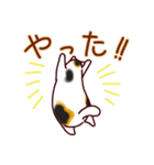 和風猫＜心づかい＞（個別スタンプ：22）