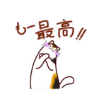 和風猫＜心づかい＞（個別スタンプ：23）