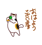 和風猫＜心づかい＞（個別スタンプ：33）