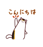 和風猫＜心づかい＞（個別スタンプ：34）