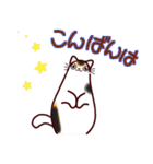 和風猫＜心づかい＞（個別スタンプ：36）