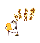 和風猫＜心づかい＞（個別スタンプ：40）