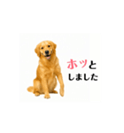 【動く】ゴールデンレトリバー★気遣い（個別スタンプ：6）