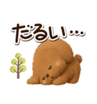 トイプードル【レッド】3D☆冬・あけおめ（個別スタンプ：12）