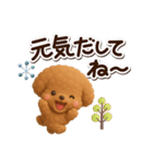 トイプードル【レッド】3D☆冬・あけおめ（個別スタンプ：13）