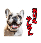 三重弁☆わんこ（個別スタンプ：6）