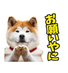 三重弁☆わんこ（個別スタンプ：7）