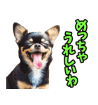 三重弁☆わんこ（個別スタンプ：9）
