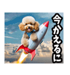 三重弁☆わんこ（個別スタンプ：16）