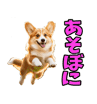 三重弁☆わんこ（個別スタンプ：19）