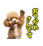 三重弁☆わんこ（個別スタンプ：21）