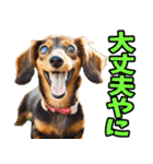 三重弁☆わんこ（個別スタンプ：23）