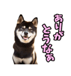 三重弁☆わんこ（個別スタンプ：29）