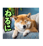 三重弁☆わんこ（個別スタンプ：32）