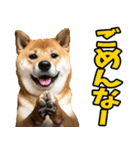 三重弁☆わんこ（個別スタンプ：36）