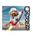 静岡弁☆わんこ（個別スタンプ：6）