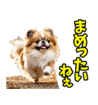 静岡弁☆わんこ（個別スタンプ：9）