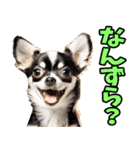 静岡弁☆わんこ（個別スタンプ：12）