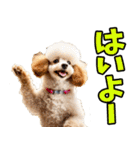 静岡弁☆わんこ（個別スタンプ：15）