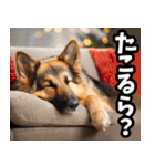 静岡弁☆わんこ（個別スタンプ：17）