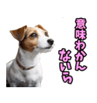 静岡弁☆わんこ（個別スタンプ：18）