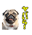 静岡弁☆わんこ（個別スタンプ：20）