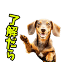 静岡弁☆わんこ（個別スタンプ：23）