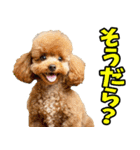 静岡弁☆わんこ（個別スタンプ：26）