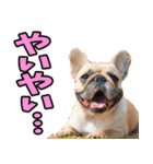 静岡弁☆わんこ（個別スタンプ：28）