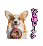 静岡弁☆わんこ（個別スタンプ：34）