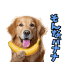 静岡弁☆わんこ（個別スタンプ：35）