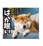 静岡弁☆わんこ（個別スタンプ：39）