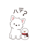 やさしいウエスティ『年末年始2026』3（個別スタンプ：28）