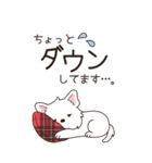 やさしいウエスティ『年末年始2026』3（個別スタンプ：30）