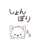 やさしいウエスティ『年末年始2026』3（個別スタンプ：31）