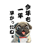 可愛いパグBIG年末年始（個別スタンプ：5）