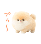 ふわふわぽぽちのやさしいスタンプ（個別スタンプ：1）